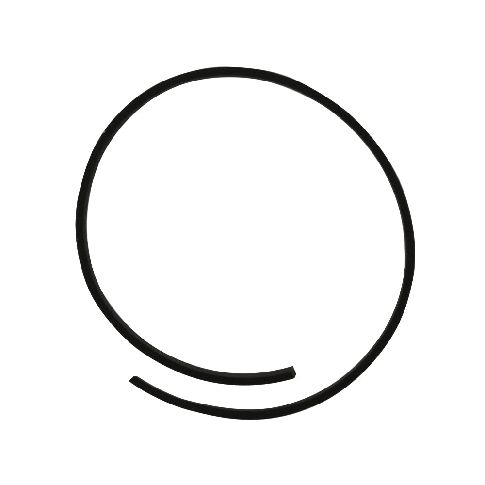 Weather Stripping 1.10&#39;